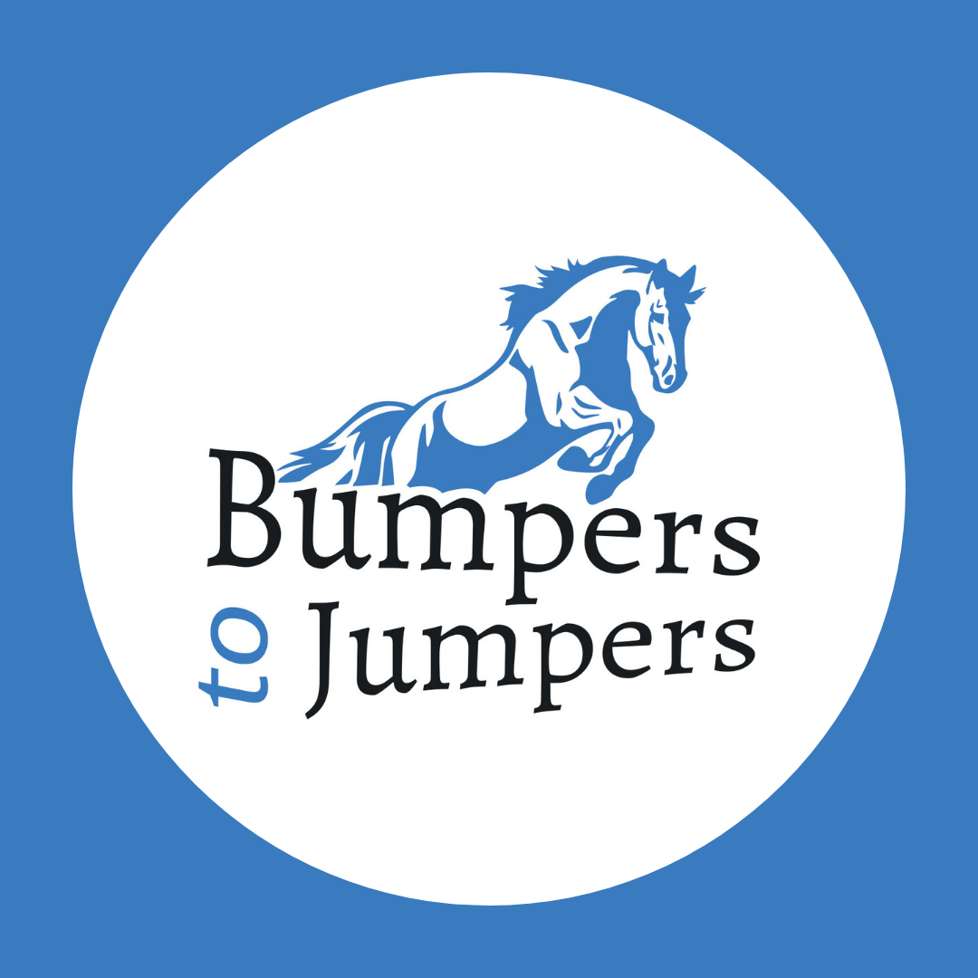 Bumpers To Jumpers logo